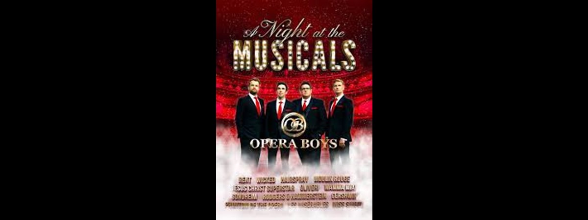 Opera Boys - A Night at the Musicals